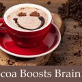 Hot Cocoa Boosts Brain Health